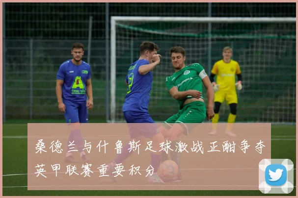 桑德兰与什鲁斯足球激战正酣争夺英甲联赛重要积分